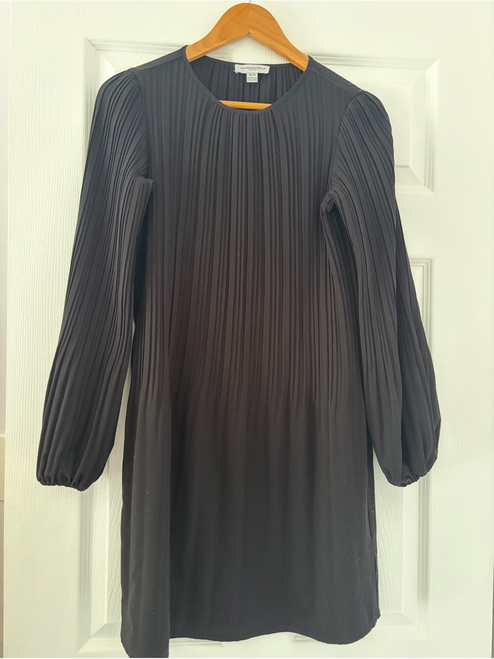 Carolina Belle Black Pleated Long-Sleeve Woman Dress